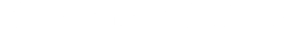 The New York Times Logo